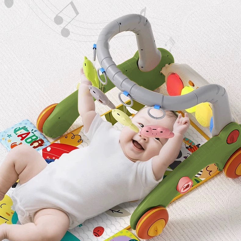 Meadow Play Gym