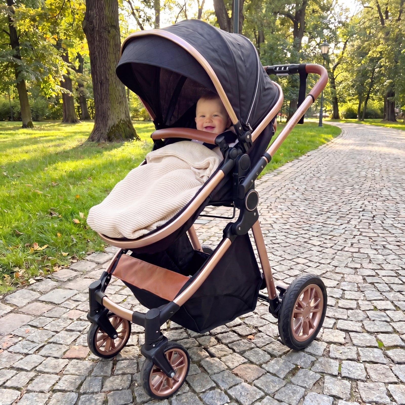 Nestora 2 in 1 Baby Stroller