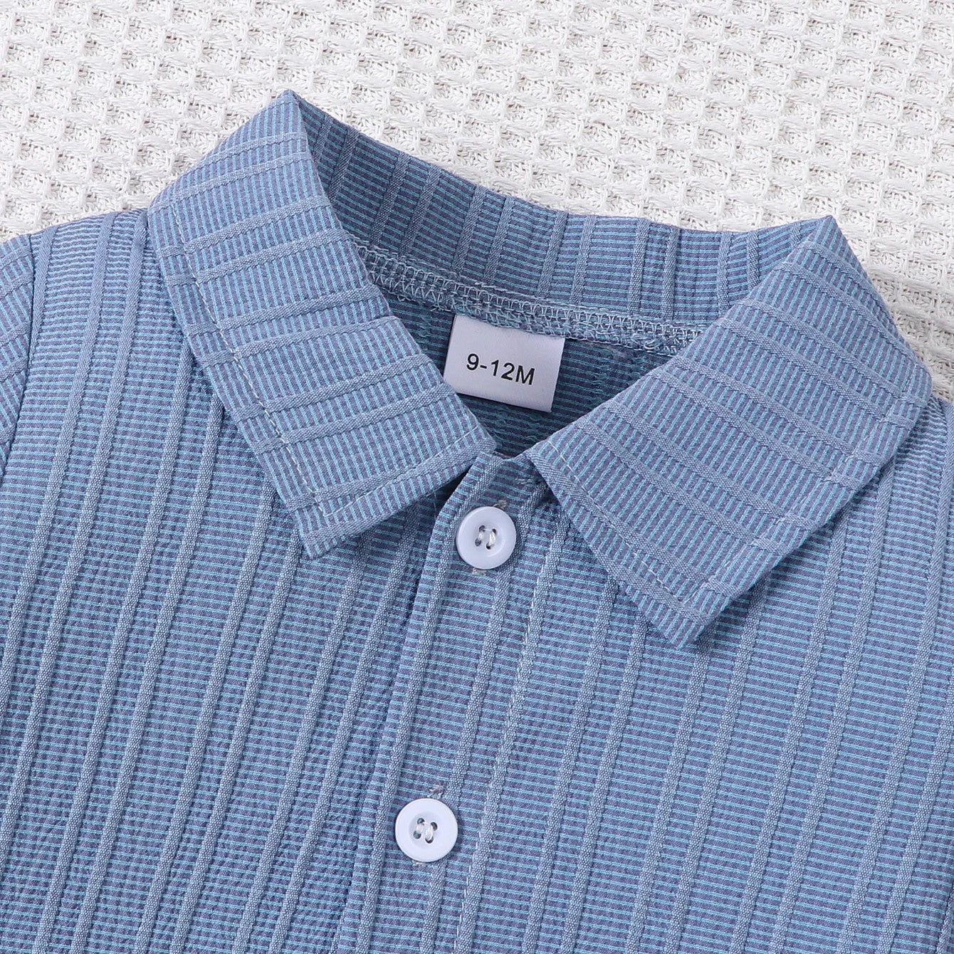 Hudson Baby Boy Shirt and Shorts Set