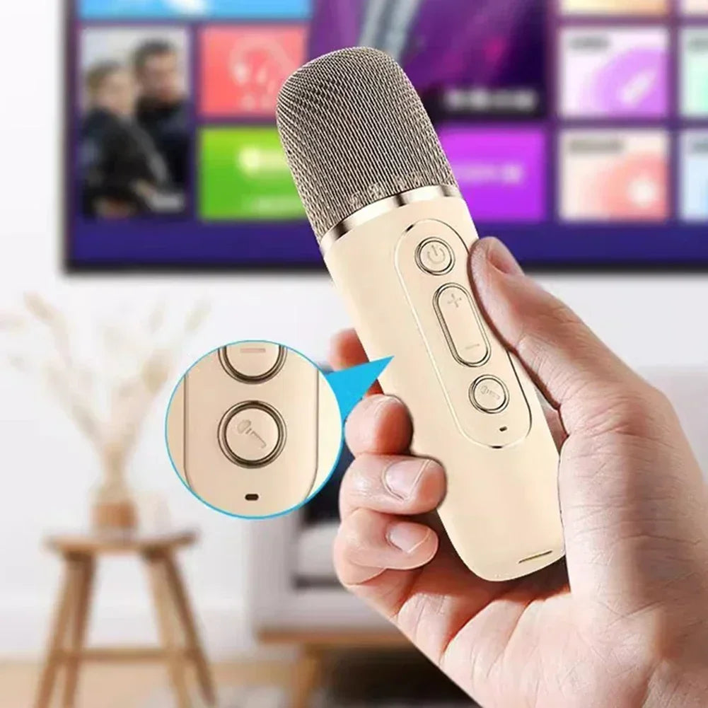 Portable Bluetooth Karaoke Machine with Wireless Microphones