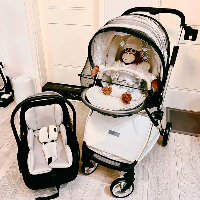 Aerova All-Terrain Baby Stroller
