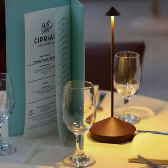 Rechargeable Cordless LED Table Lamp with Dimmable Lighting